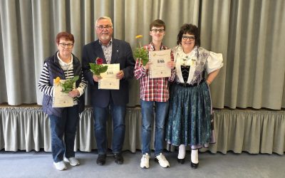 Frühlings-Nachmittag der Gmoi